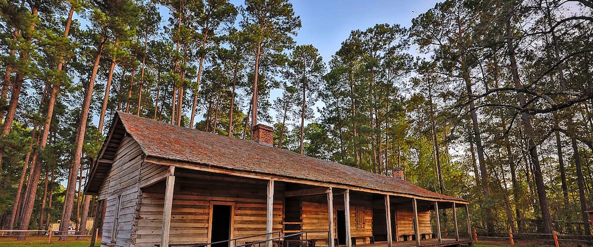 A rustic wooden cabin surrounded by tall pine trees.