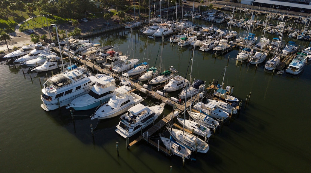 Bến du thuyền Dunedin