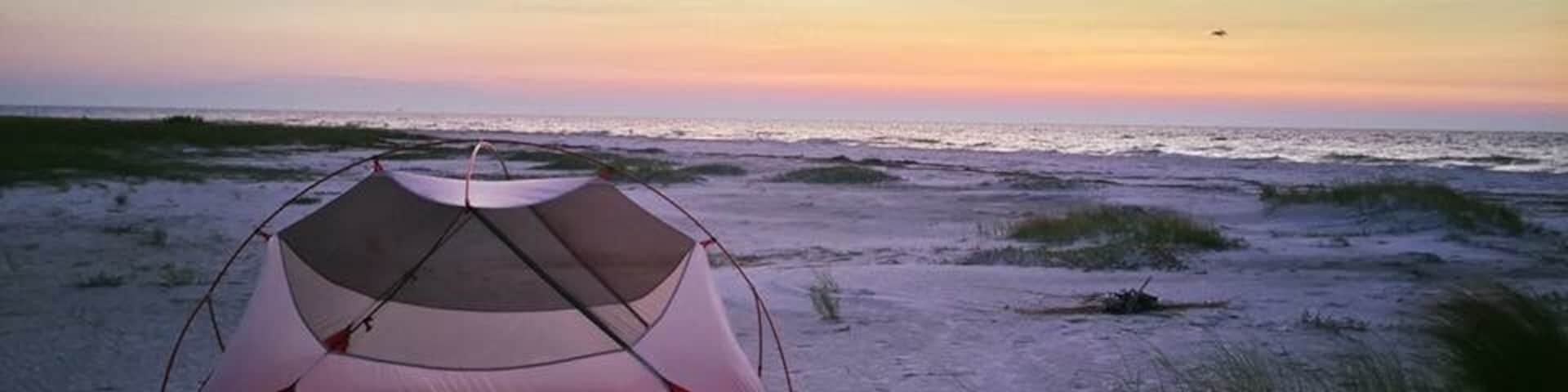 Anclote key is a beautiful island and run as a state park of Florida. The island is primitive with lots of natural beauty. Was able to observe lots of wildlife with minimal crowds on the north side of the island. You can see the historic lighthouse from the south side of the island and the south side is great for day trips.