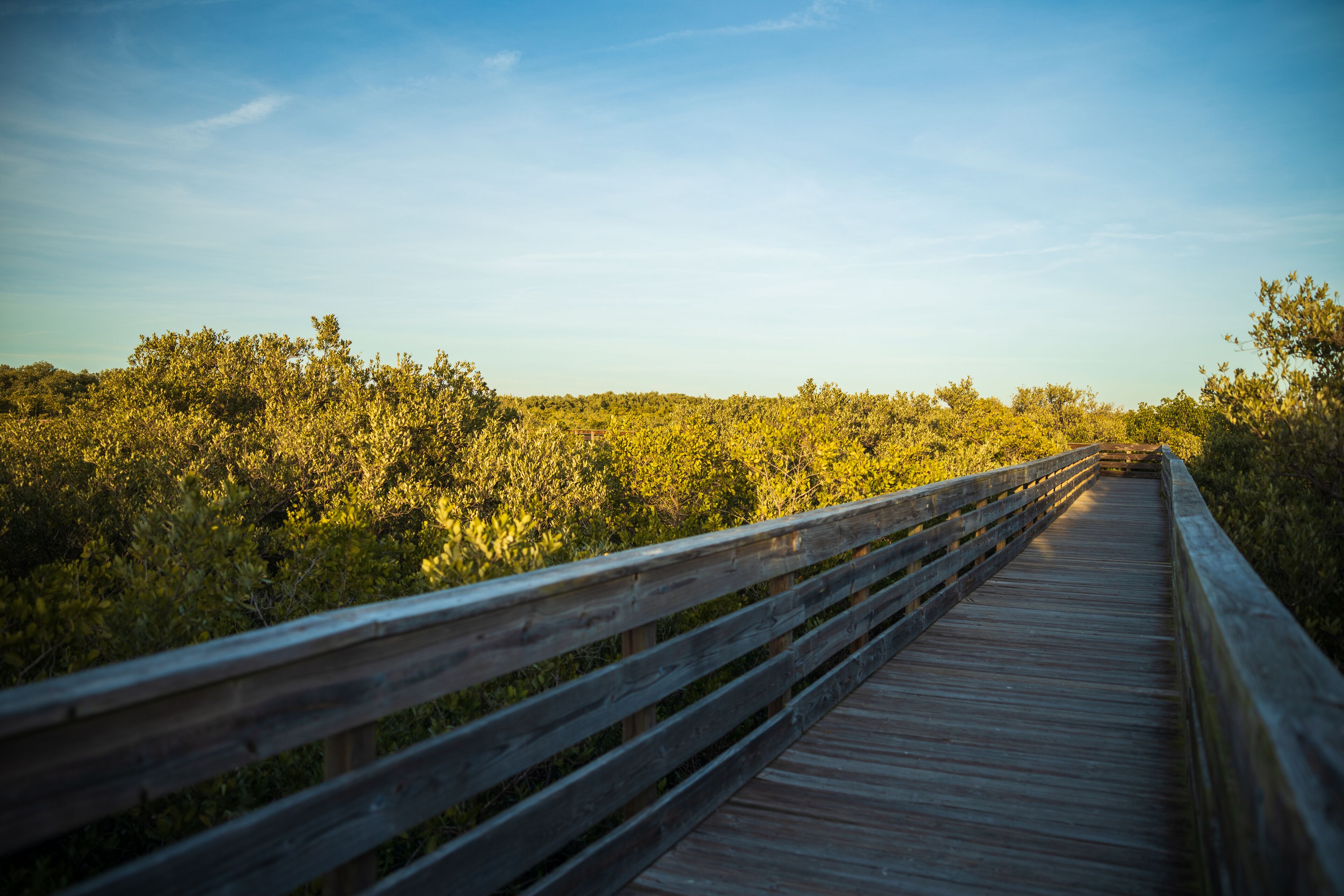Walk bridge at Robert K Rees Memorial Park