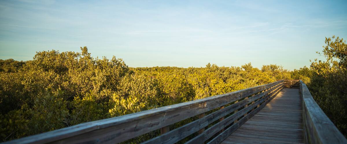 Walk bridge at Robert K Rees Memorial Park