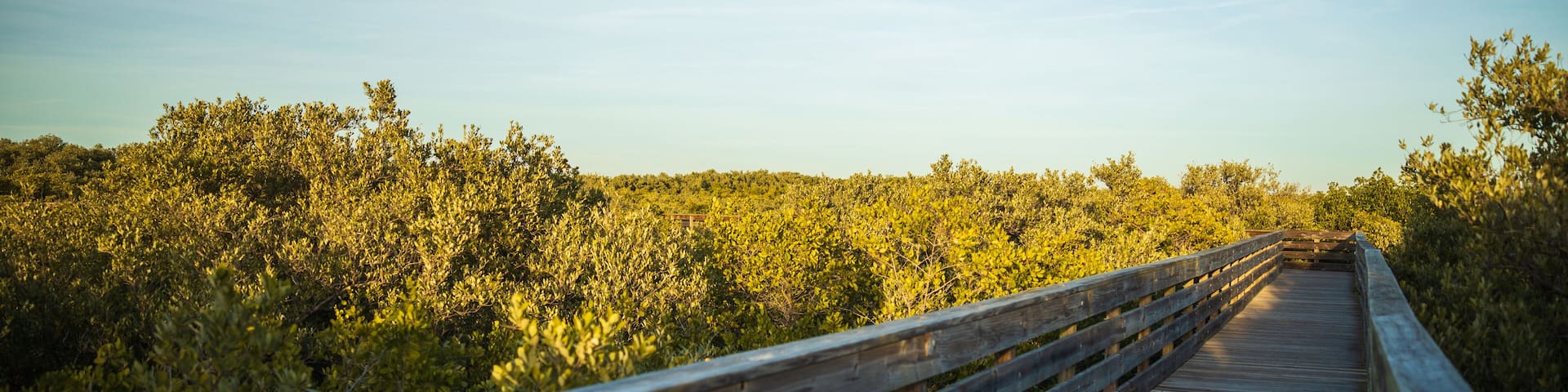 Walk bridge at Robert K Rees Memorial Park