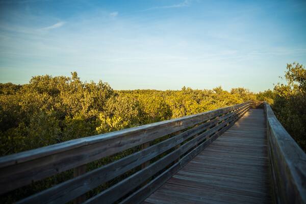 Walk bridge at Robert K Rees Memorial Park