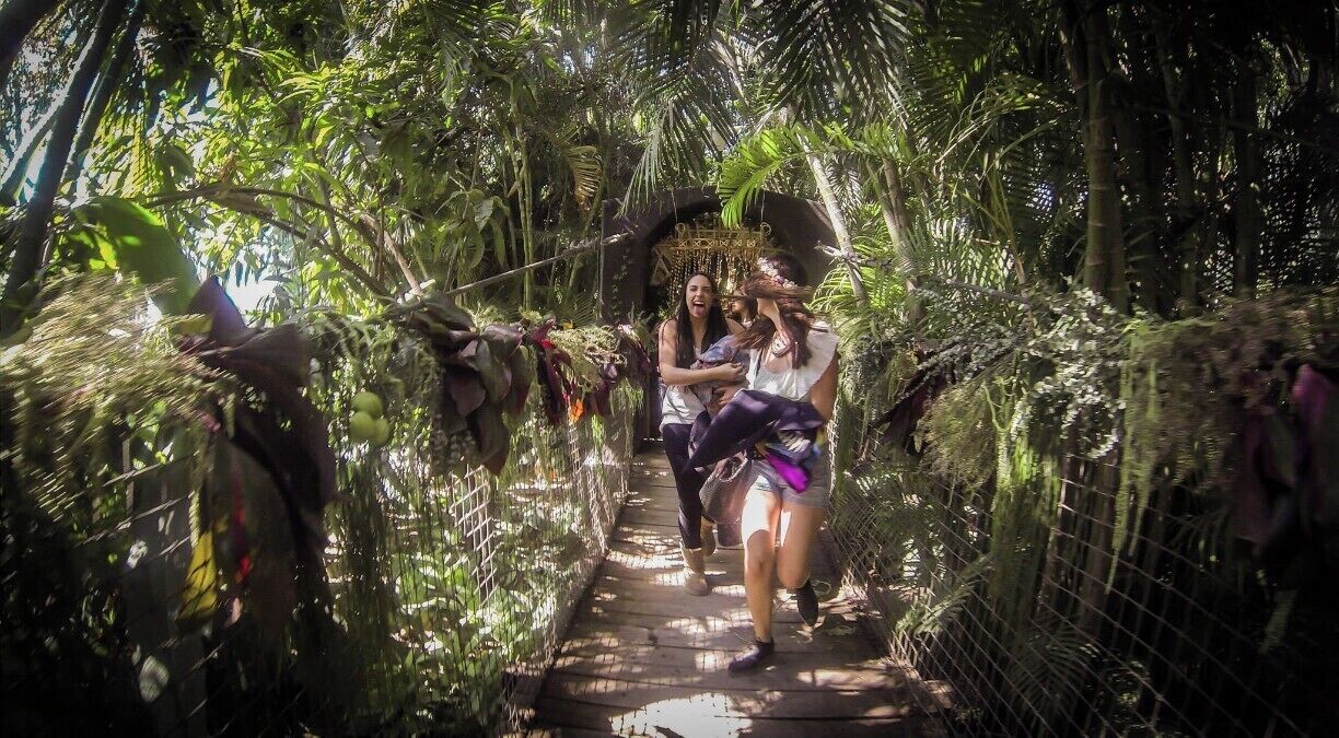 A wooden bridge surrounded by dense tropical foliage.