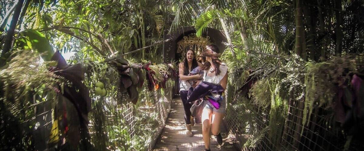 A wooden bridge surrounded by dense tropical foliage.