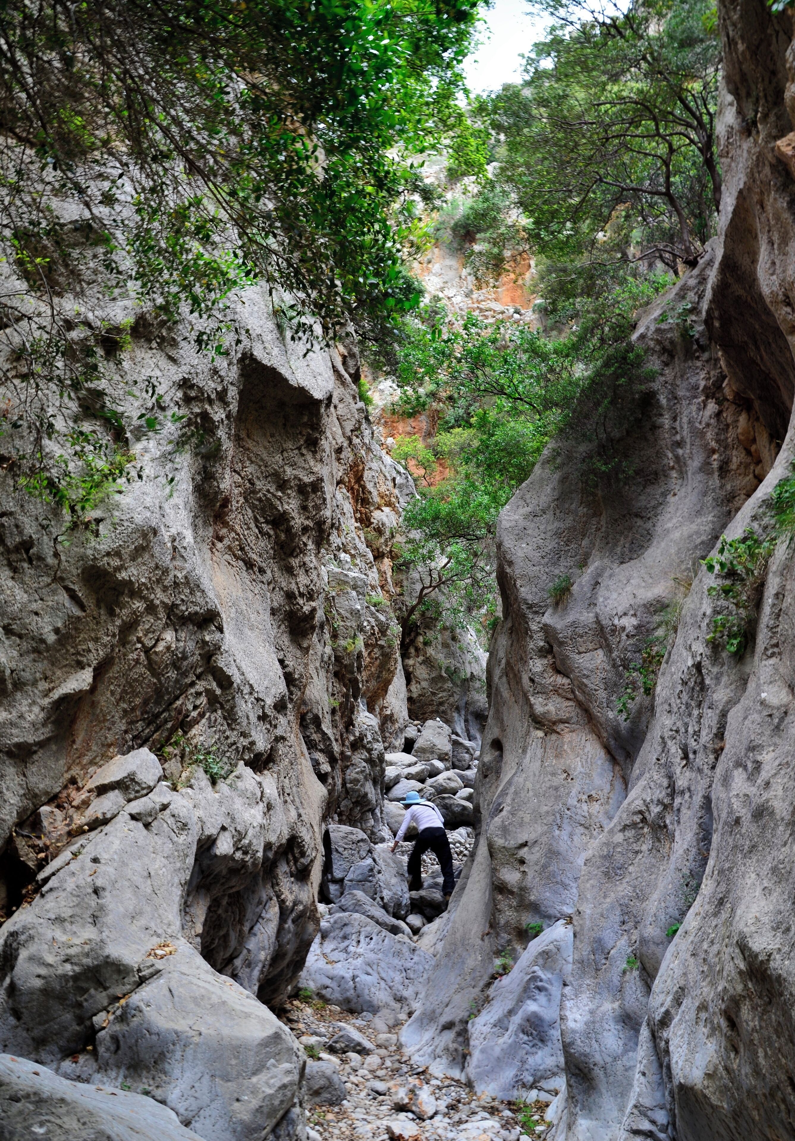 This is deep in Kritsa Gorge, one of the many utilized by resistance fighters on Crete in WWII.  Though it's a bit rugged, we enjoyed our time in here immensely.  We only spent about 2 hours all up and the weather came and got us at one stage.  You can do a much longer hike and come out at a village on the other side.