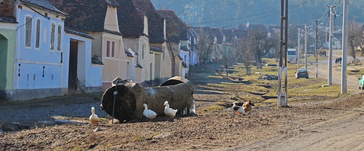Viscri's fortified church isn't the only beautiful place in the small village - its inviting, colorful houses don't disappoint!