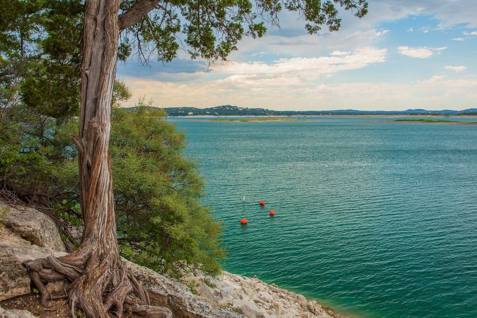 A coastal landscape with a large tree trunk, rocky shore, calm turquoise sea, and distant landforms.
