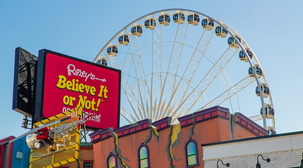 Clifton Hill featuring views and signage