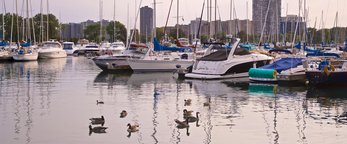 Montrose Harbor which includes a bay or harbor, a sunset and bird life
