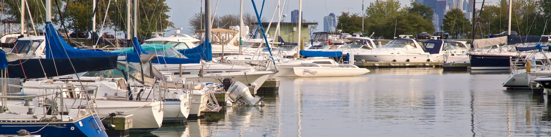 Montrose Harbor featuring a bay or harbor