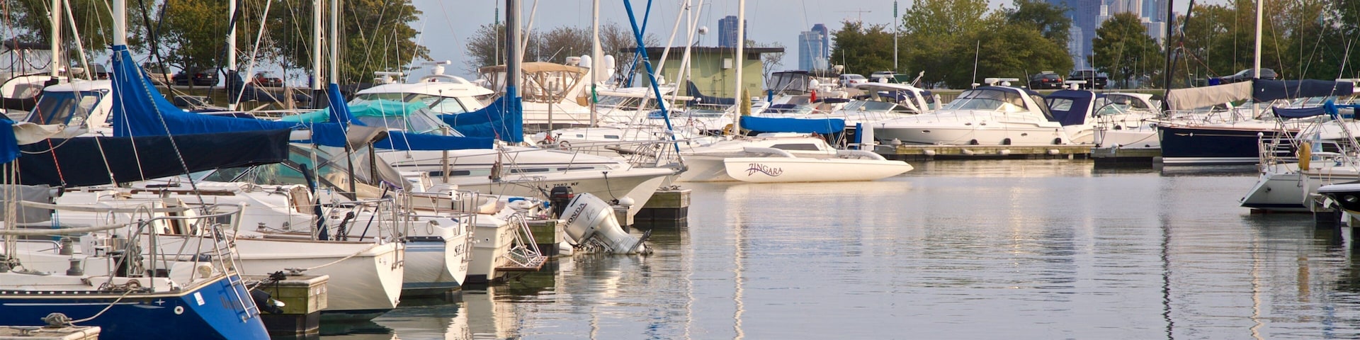 Montrose Harbor featuring a bay or harbor