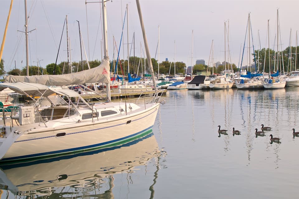 Un port esportiu amb diversos velers amarrats, aigua tranquil·la i algunes ànec nedant.