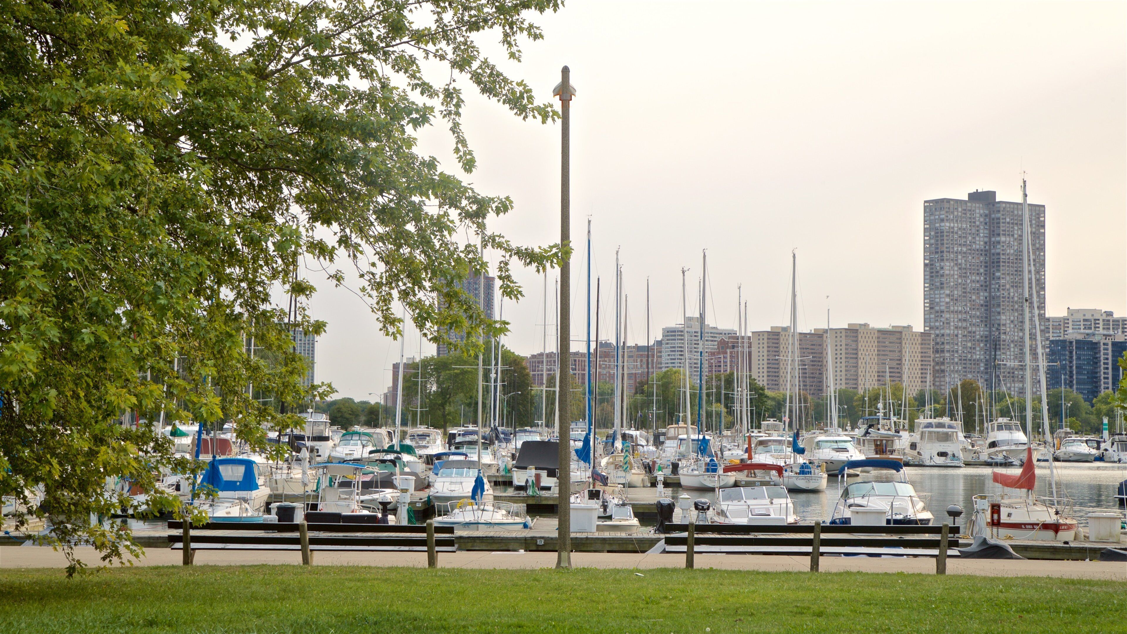 Montrose Harbor ofreciendo una bahía o un puerto y un parque
