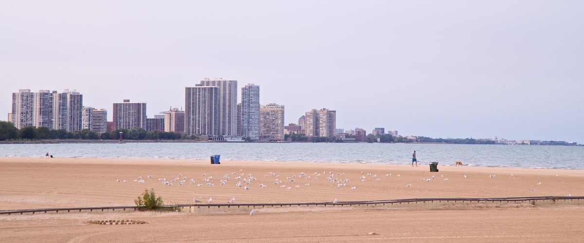 Montrose Beach ofreciendo una ciudad, una playa de arena y una ciudad costera