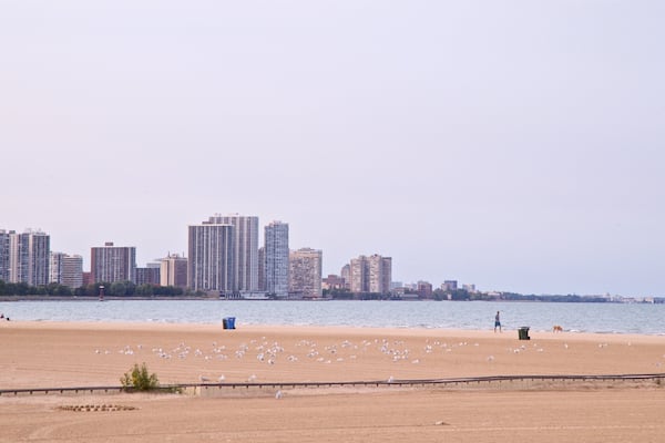 Montrose Beach som inkluderar fÄglar, en kuststad och en sandstrand