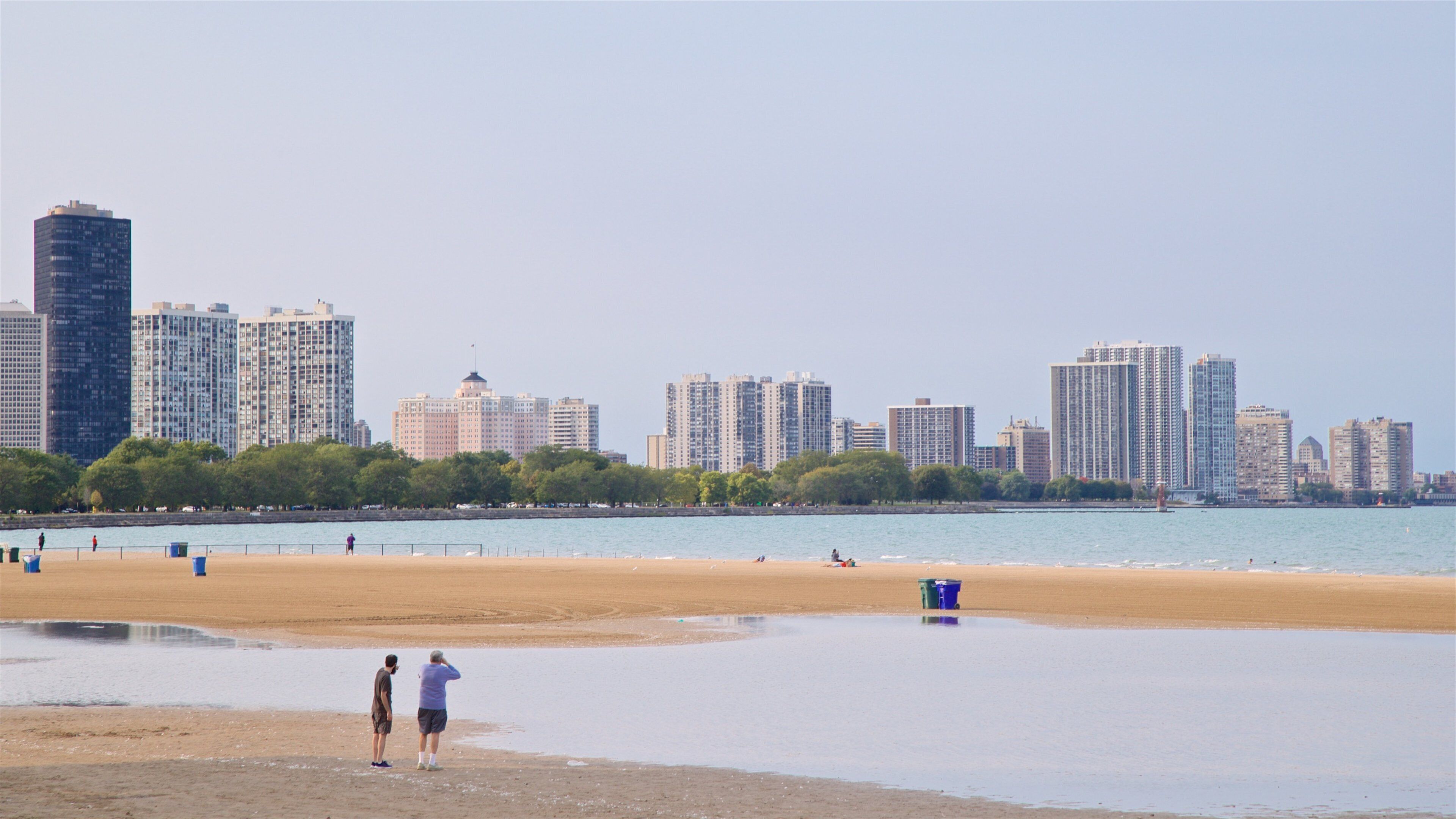 Montrose Beach mostrando vistas generales de la costa, una playa de arena y una ciudad