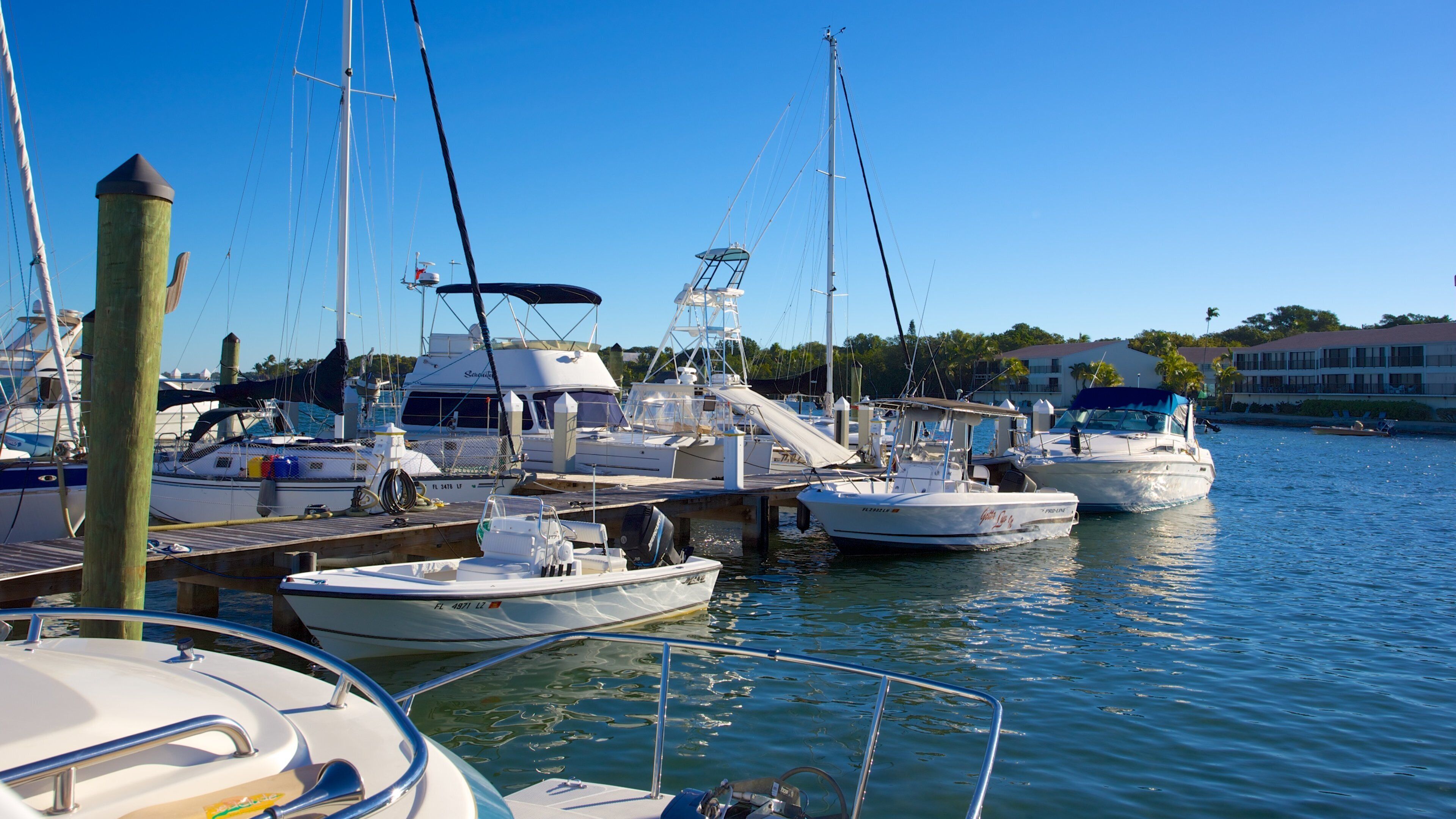 ファウンダーズ パーク どの含み マリーナ