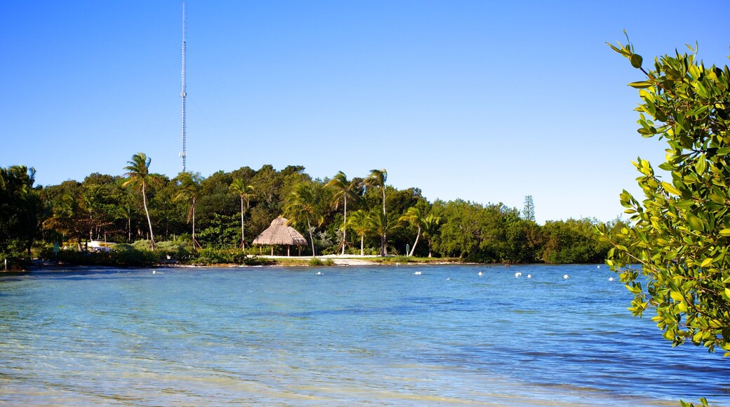 Founders Park which includes general coastal views
