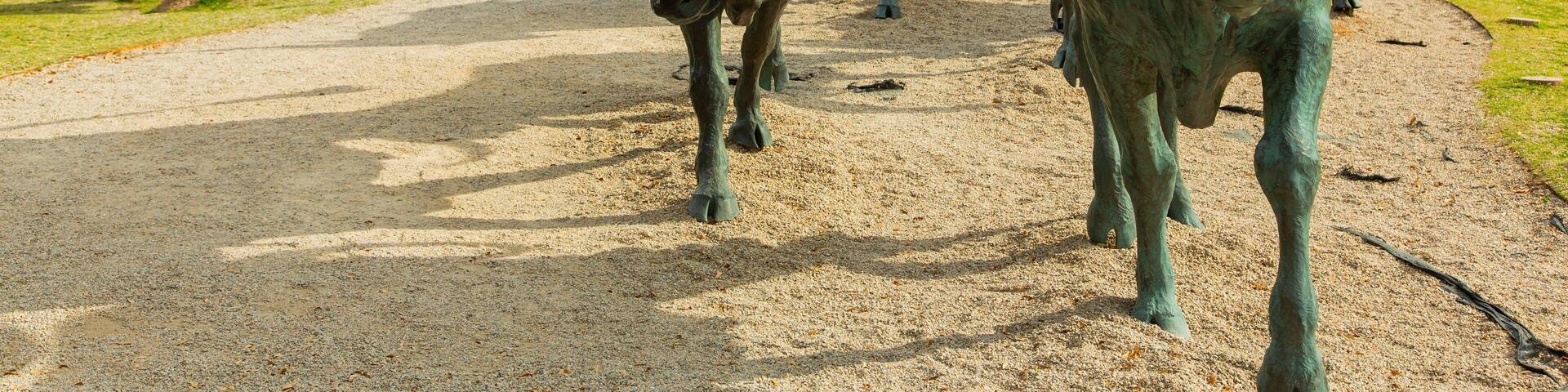 Una serie de esculturas de bronce que representan ganado vacuno y una estatua de vaquero sobre un sendero de grava.