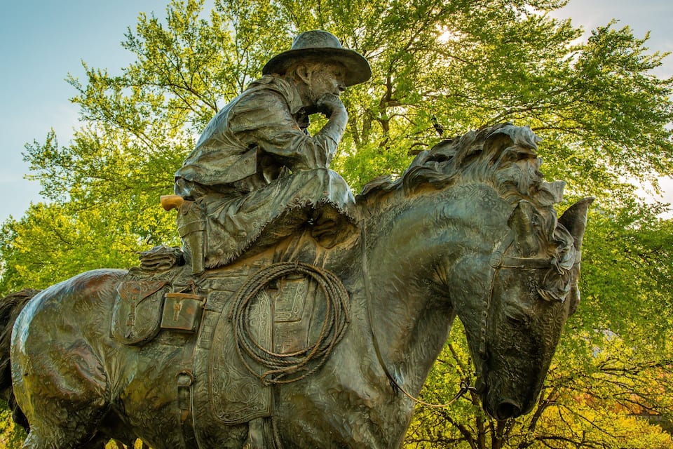 Una estàtua de bronze d'un cavaller a sobre d'un cavall, envoltada d'arbres.
