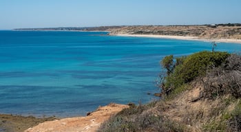 Aldinga and Port Willunga beach on a bright sunny day in South Australia on January 29th 2020
