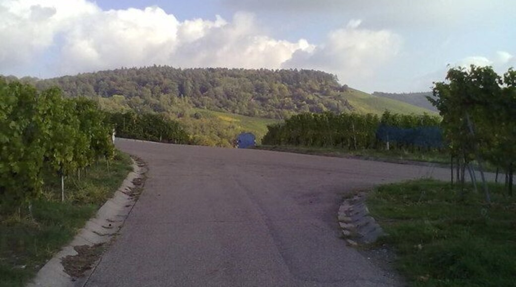 Wegkreuzung im Weinberg am Korber Kopf