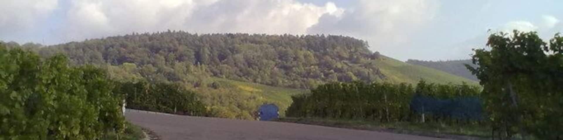 Wegkreuzung im Weinberg am Korber Kopf