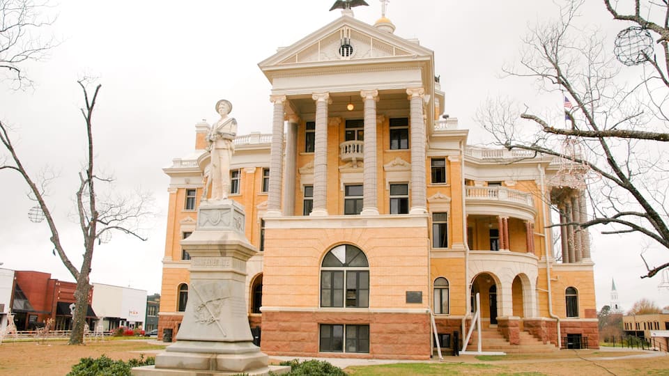 A large, historic building with a central statue, columns, and a dome.