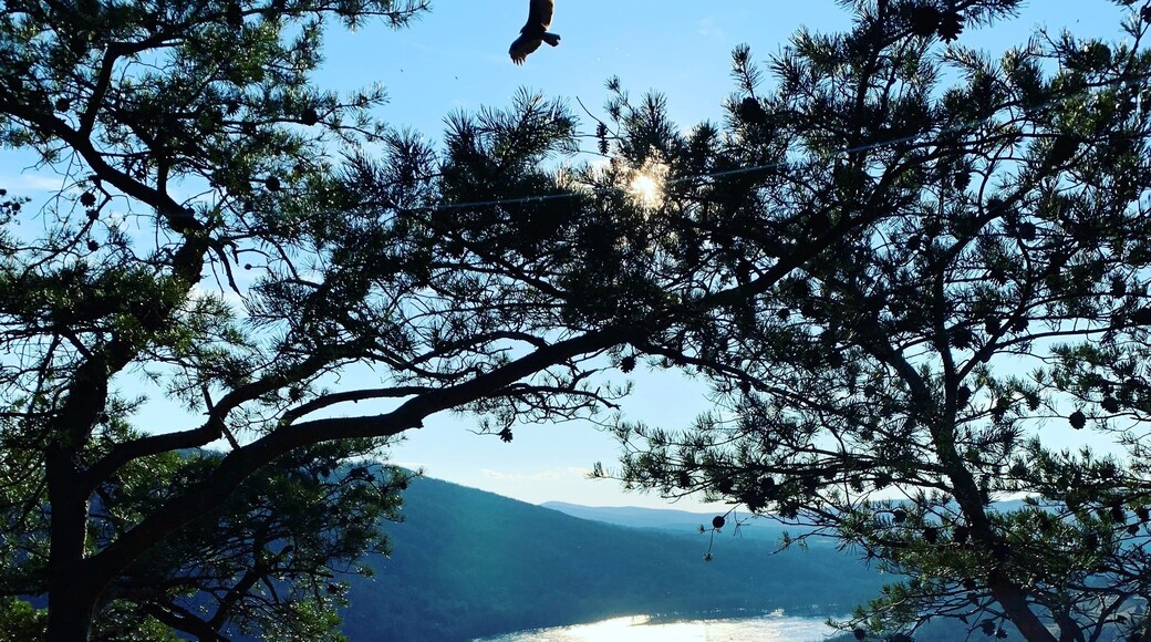 This is a short trail full of switch backs with a stunning view.
#adventure