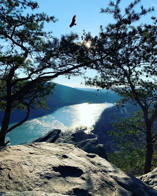 This is a short trail full of switch backs with a stunning view.
#adventure