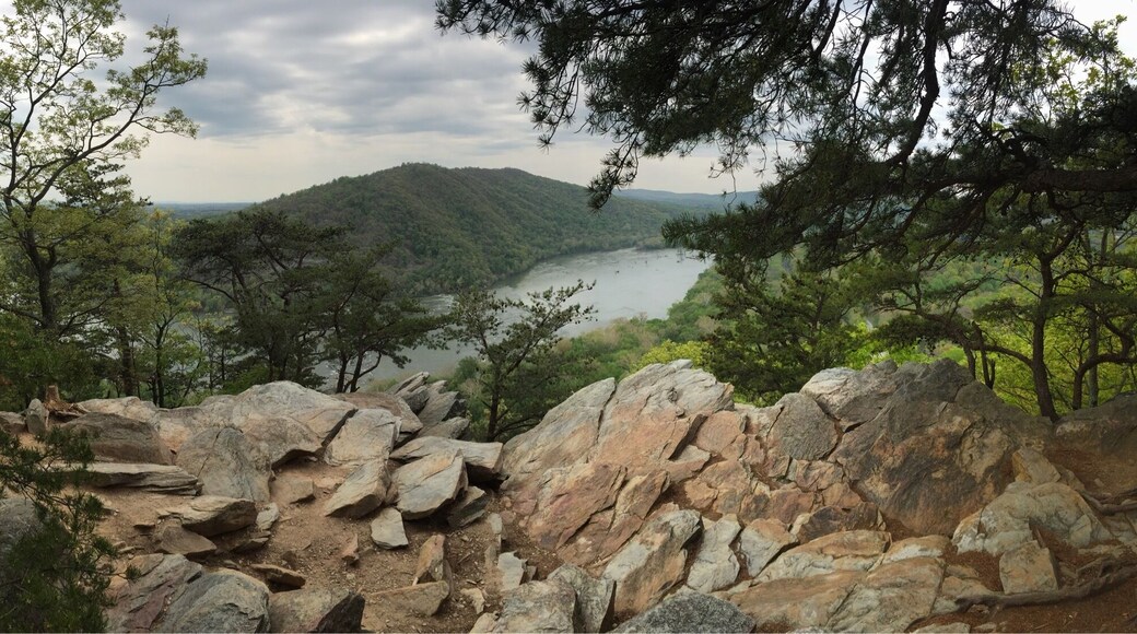 Only about a 2 mile hike from the park and ride in Knoxville.