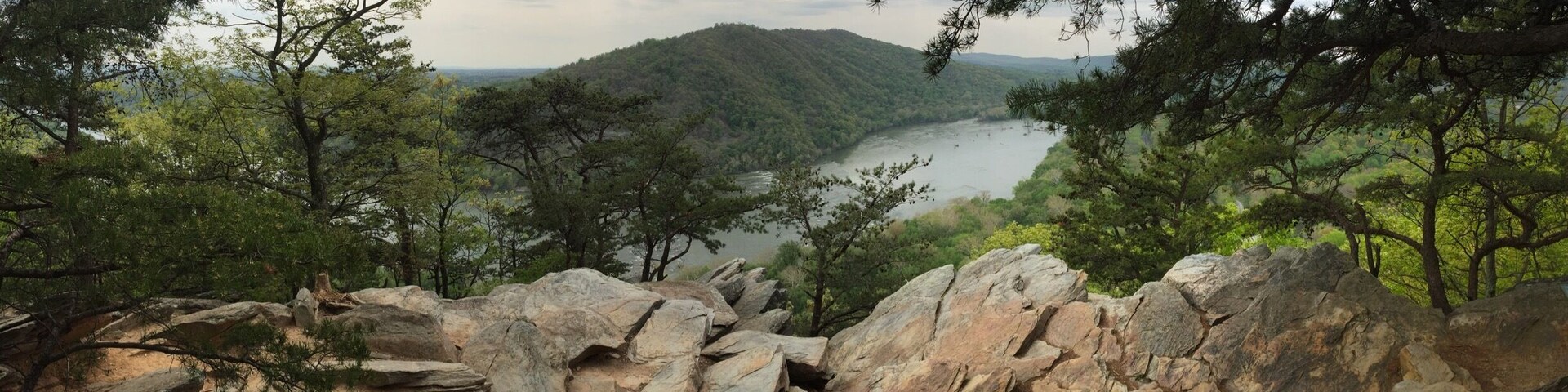 Only about a 2 mile hike from the park and ride in Knoxville.