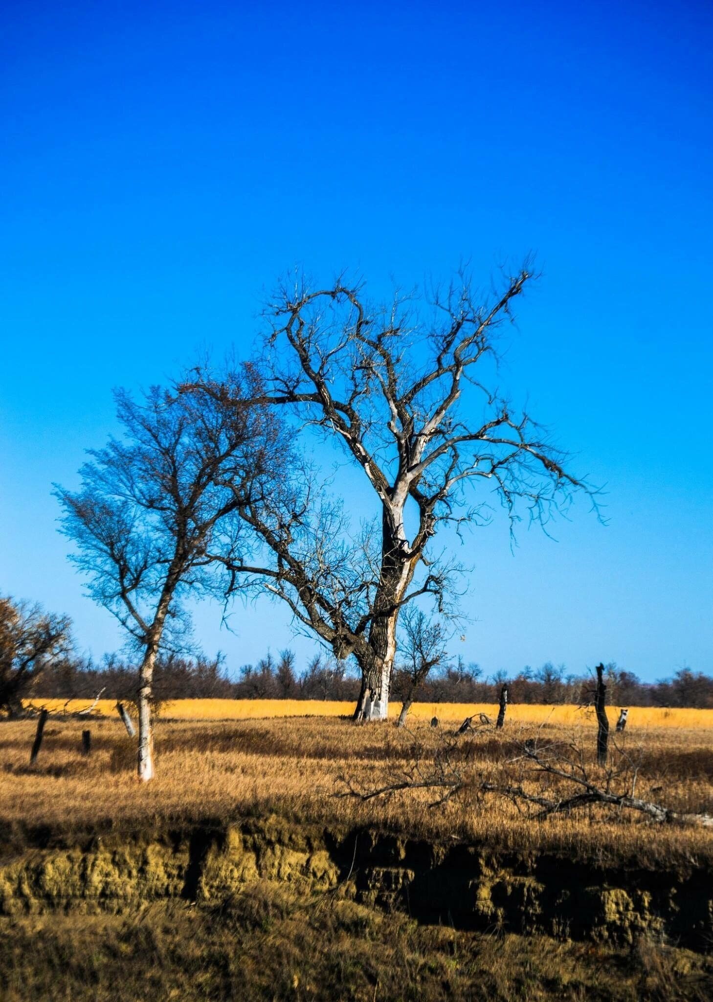 The Knife River Indian Villages National Historic Site, which was established in 1974, preserves the historic and archaeological remnants of the Northern Plains Indians.