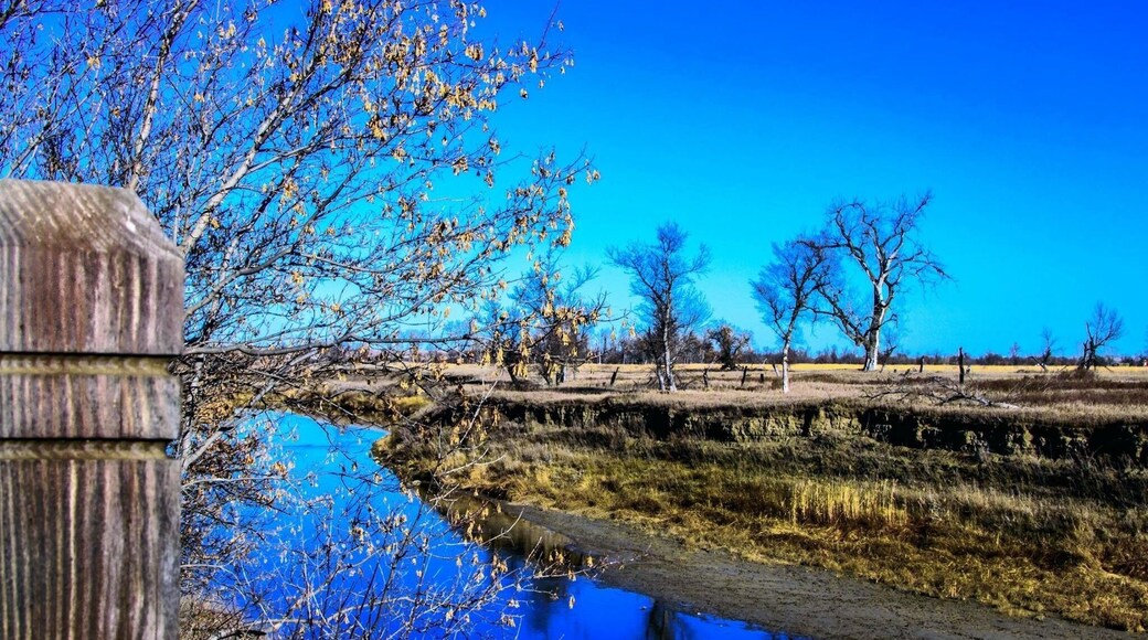 The Knife River Indian Villages National Historic Site, which was established in 1974, preserves the historic and archaeological remnants of the Northern Plains Indians.