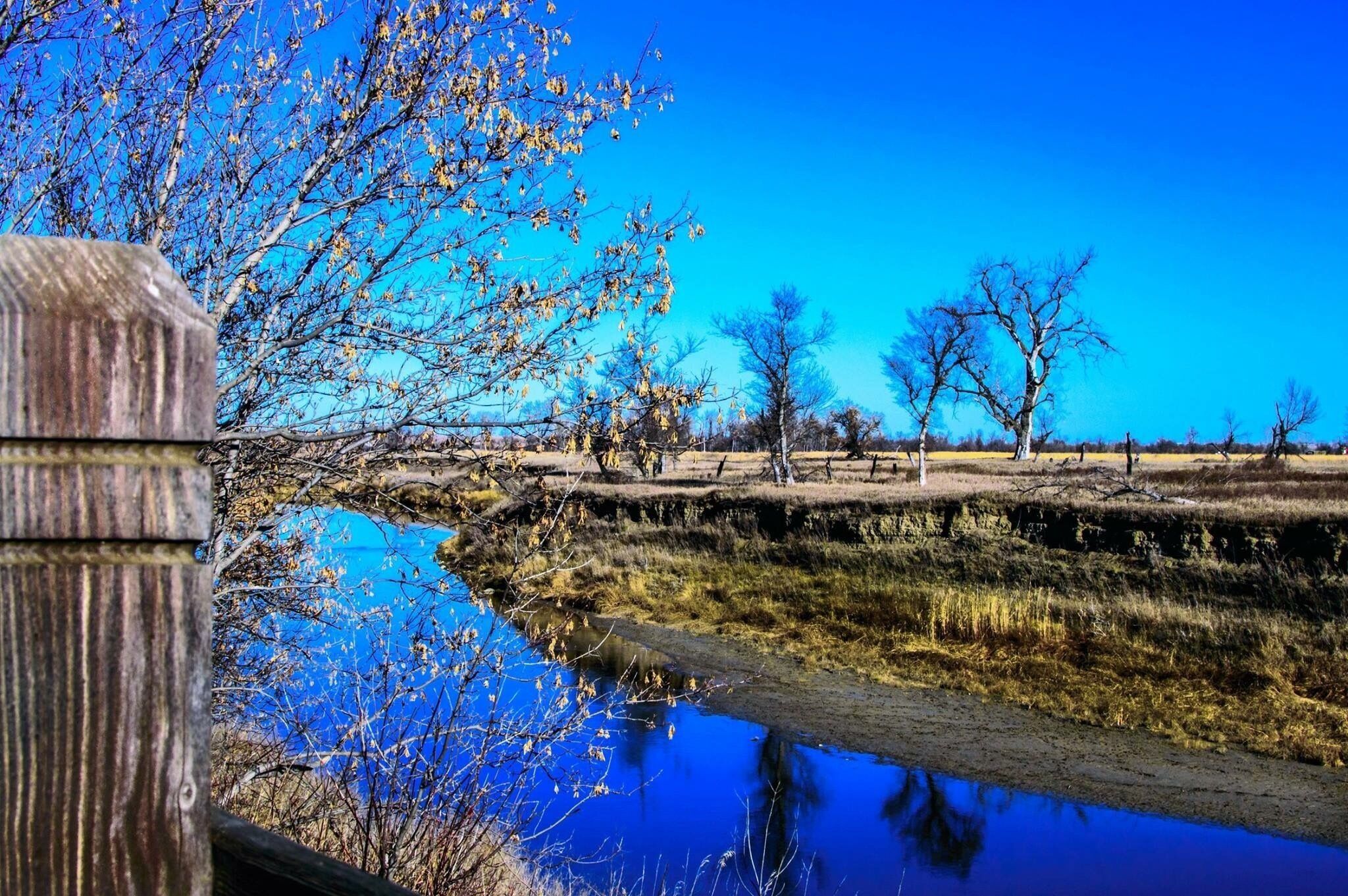 A river reflecting trees and a wooden fence.