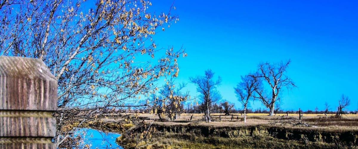 A river reflecting trees and a wooden fence.
