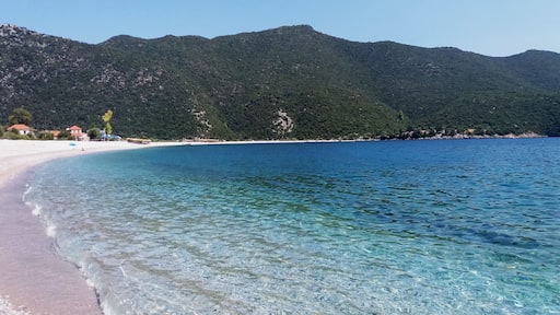 Beaches of Arcadia. Sometimes paradise is a beach closer than you think.
https://foodandtravel.blog/2019/06/19/discover-5-of-the-best-beaches-in-arcadia-greece/