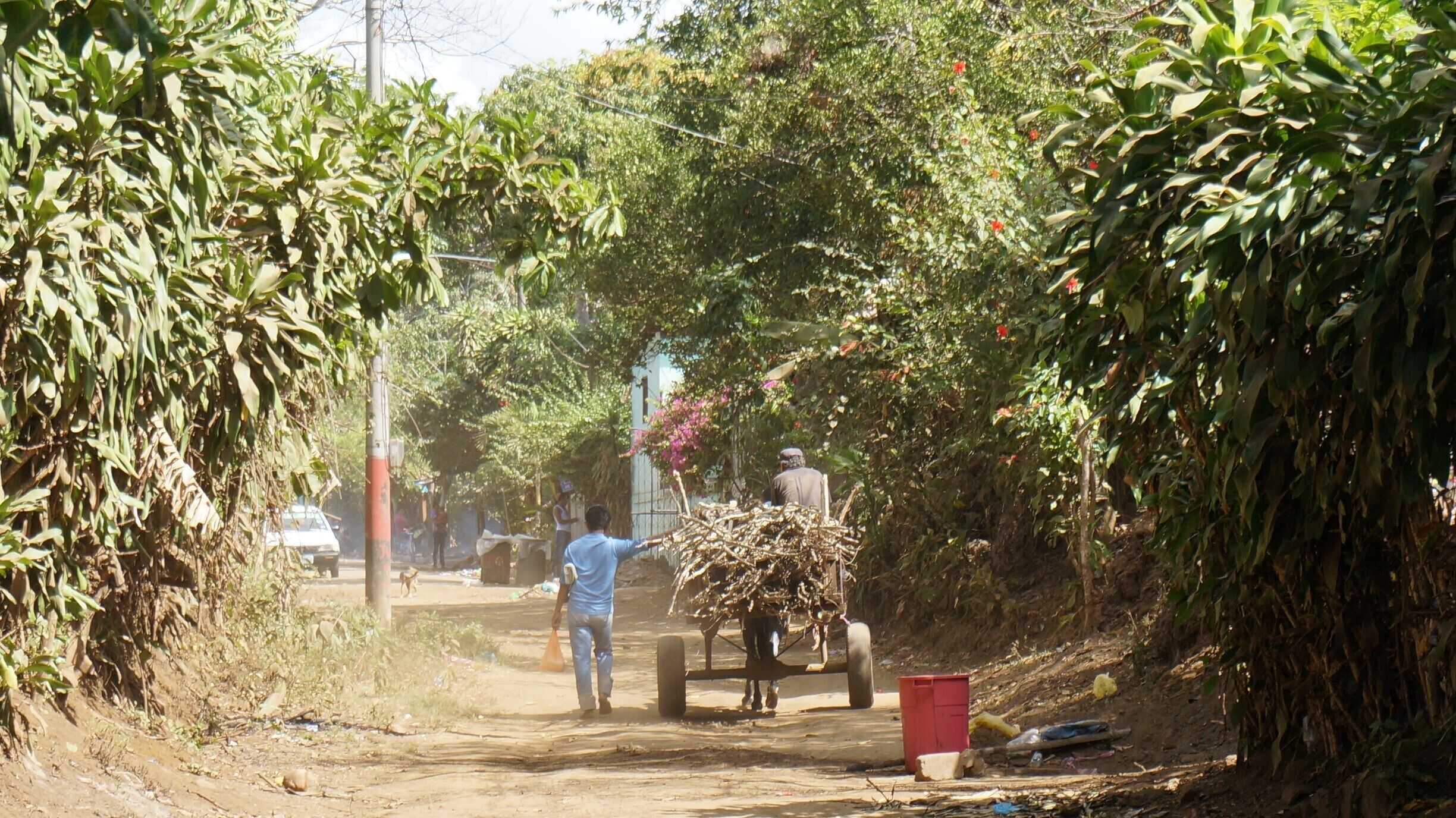 Downtown traffic in San Marcos. All over Nicaragua you'll find a mix of cars, trucks and horses pulling carts. Old meets new.