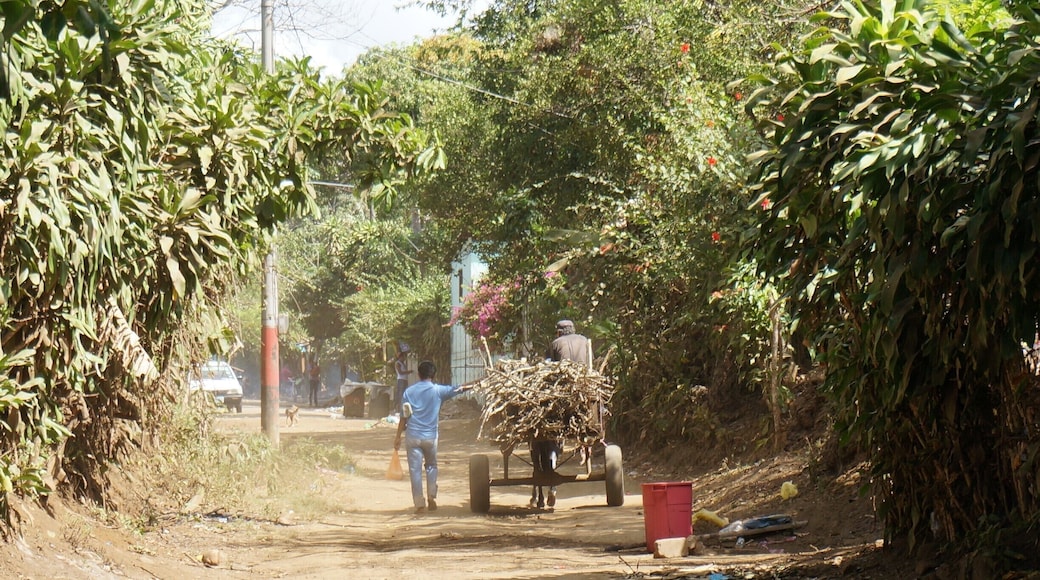 Downtown traffic in San Marcos. All over Nicaragua you'll find a mix of cars, trucks and horses pulling carts. Old meets new.