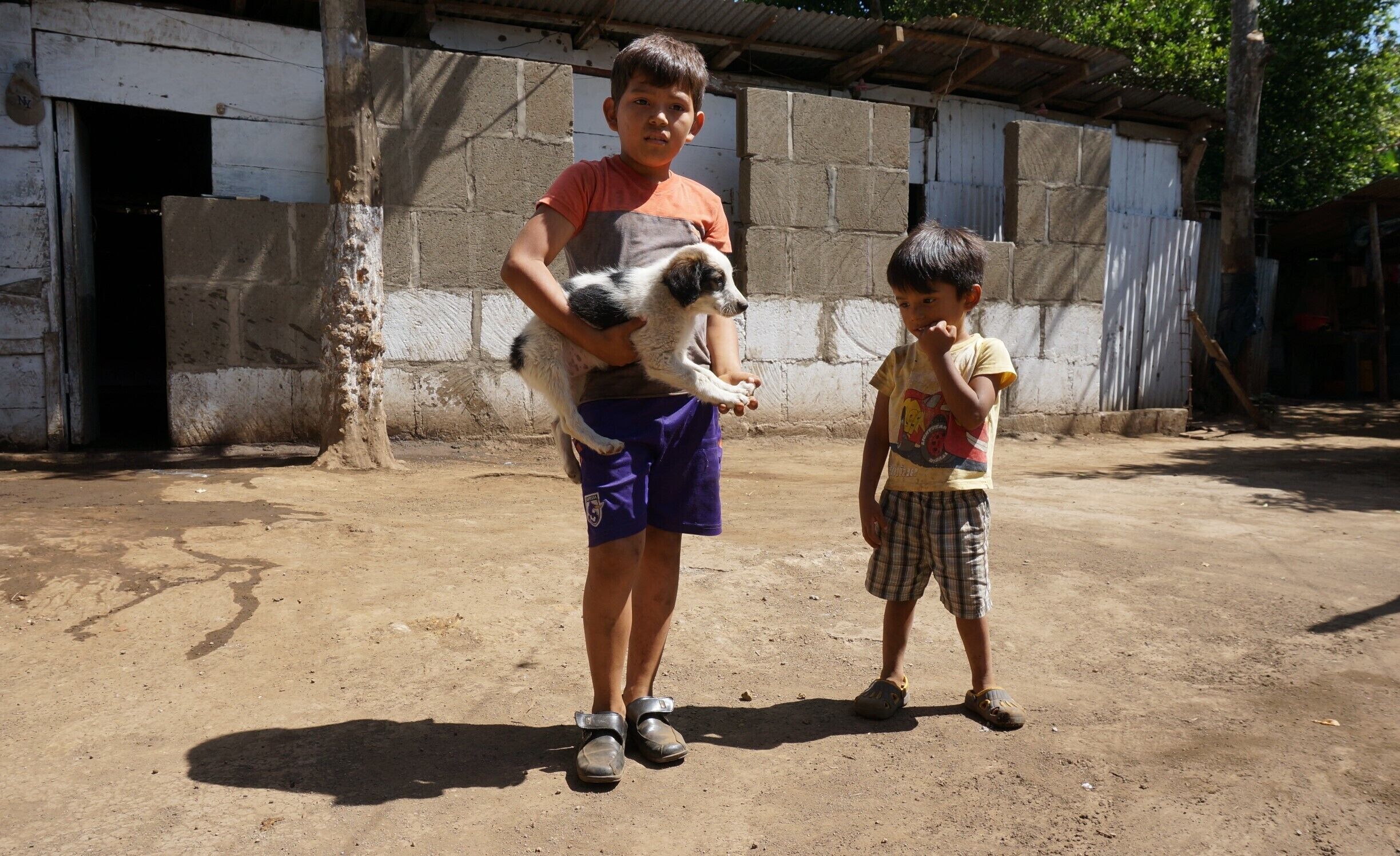 These kids were so cute! They kept grabbing this little puppy to show us, and every time the puppy had a chance, he tried to run back into the house. 