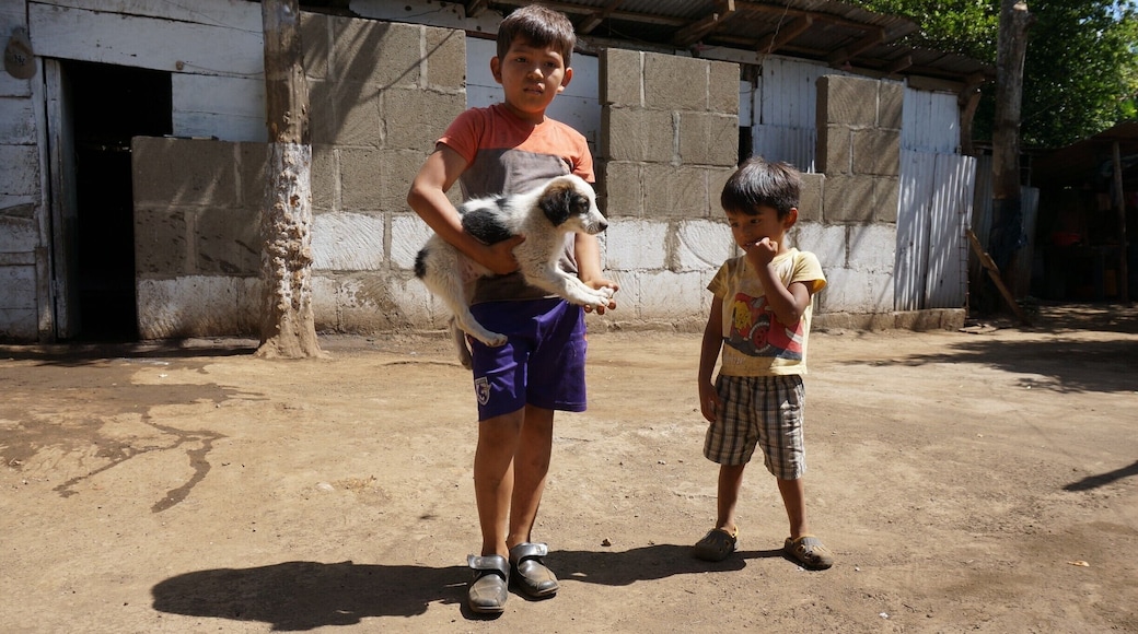 These kids were so cute! They kept grabbing this little puppy to show us, and every time the puppy had a chance, he tried to run back into the house.