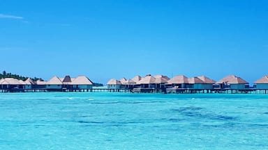 The fact that the whole island was a resort in itself and we had to be flown via a sea plane. This just made the whole experience very unique. And did I mention the water villas with the infinity pools. We were spoilt by these!
#blue