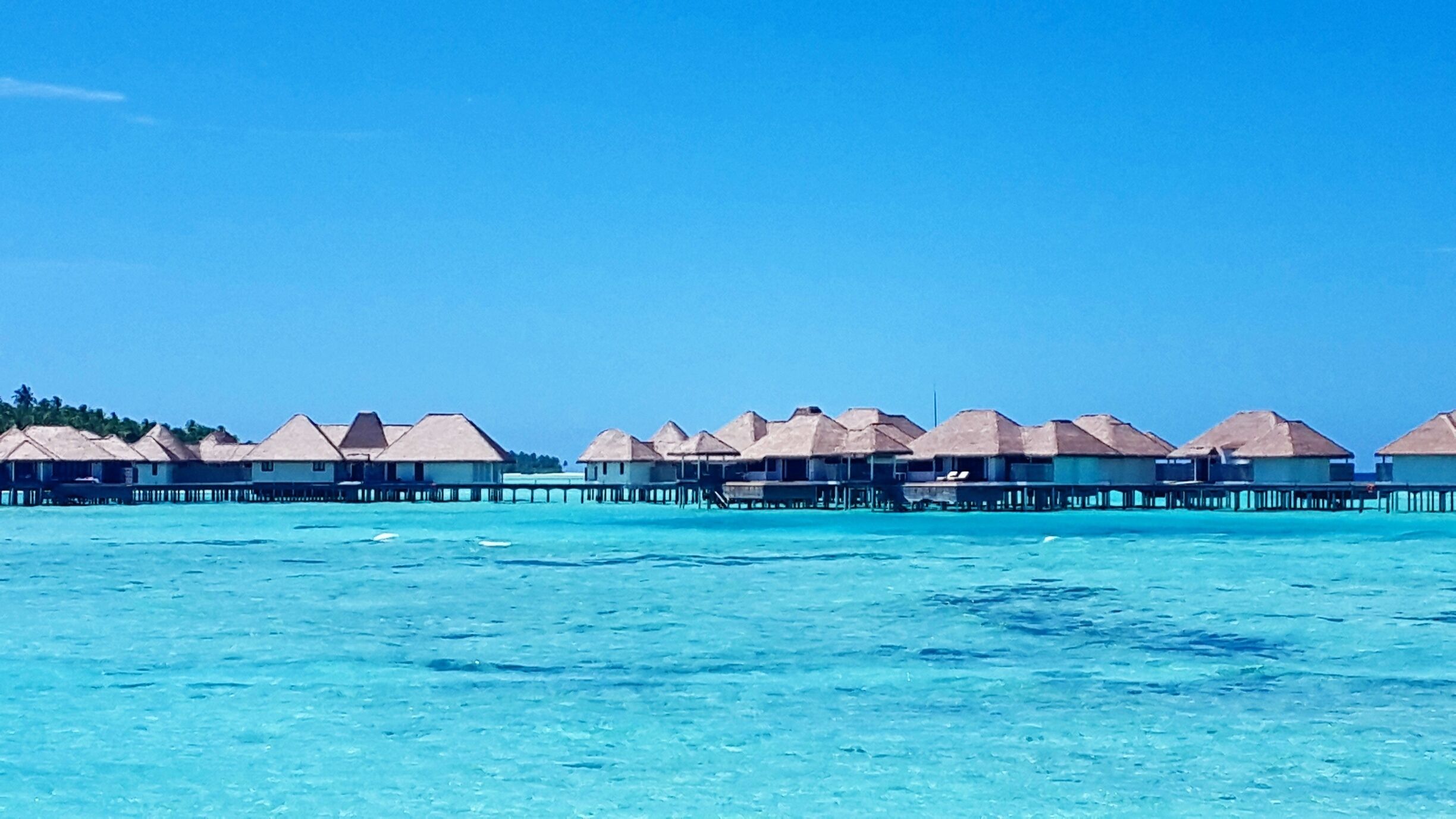 Overwater bungalows with thatched roofs on stilts in clear turquoise waters.