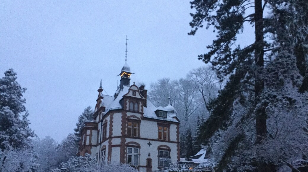 Villa in the center of the park with terracing and rondel. In the background Remise.