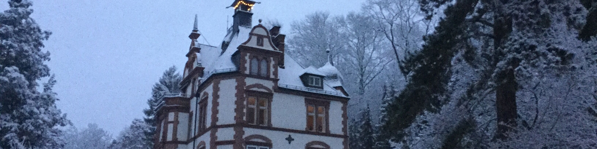 Villa in the center of the park with terracing and rondel. In the background Remise.