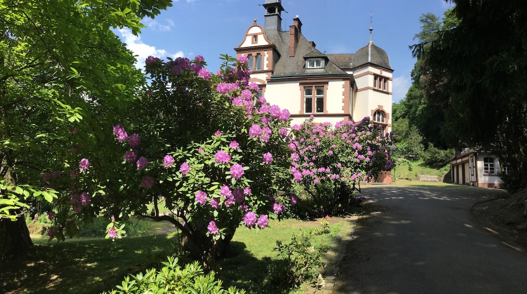 Villa Haas (Sinn) Rhododendron lined driveway to manor house and carriage house