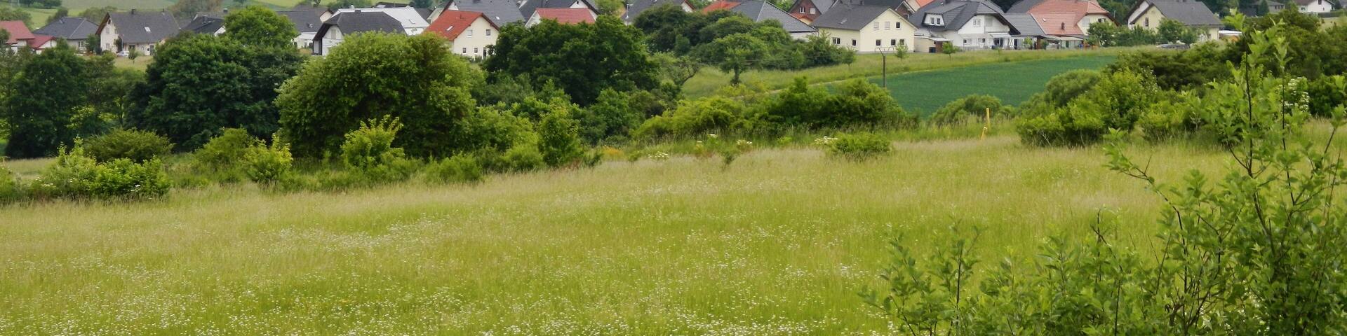 Ausblick von der Raststätte Katzenfurt
