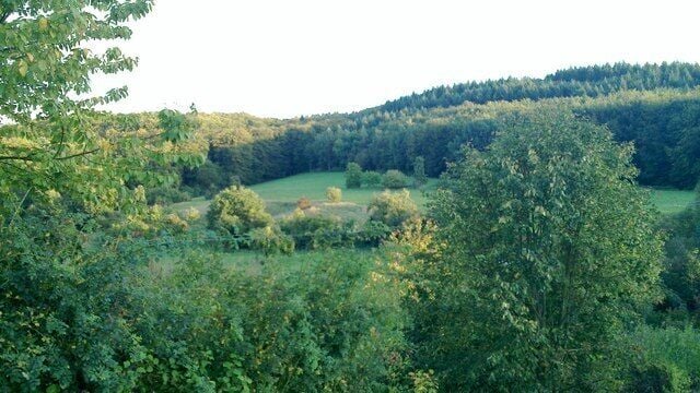 Felder bei Ehringshausen