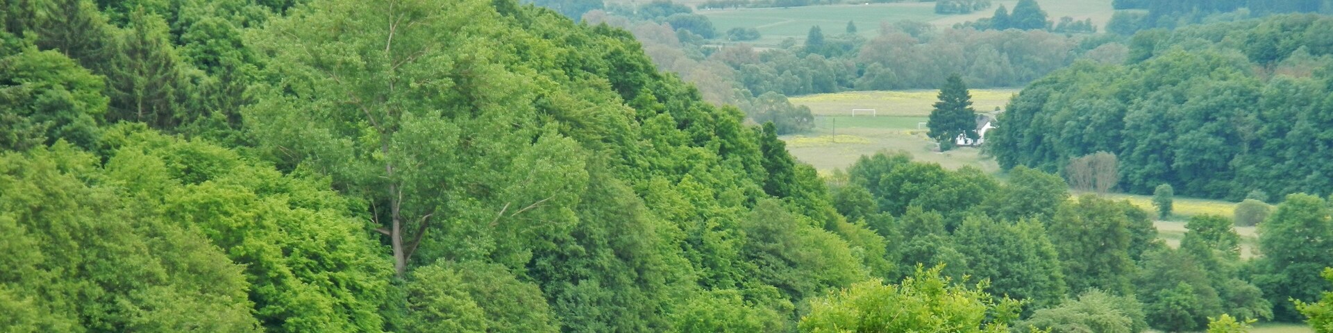 Ausblick von der Raststätte Katzenfurt